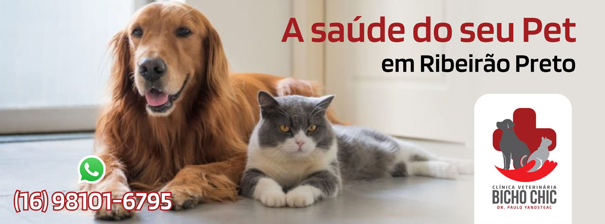 Clínica Veterinária